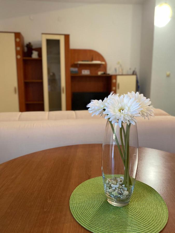 Apartments Katarina Garden Petrovac na moru Exterior foto